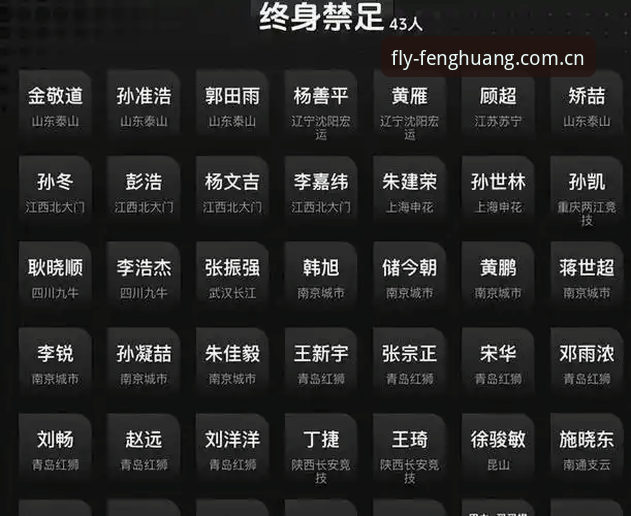 足协第三批禁足名单完整解读指南：凤凰体育平台带你深挖足球反腐背后的故事